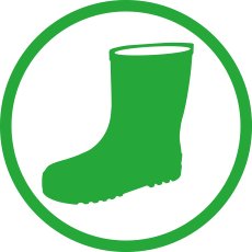 Auf welche Faktoren Sie bei der Auswahl der Vielzahn nüsse achten sollten!