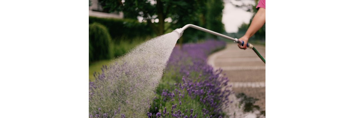 Effiziente Gartenbewässerung: Tipps &amp; Techniken - Gartenbewässerung - Effiziente Methoden und Systeme