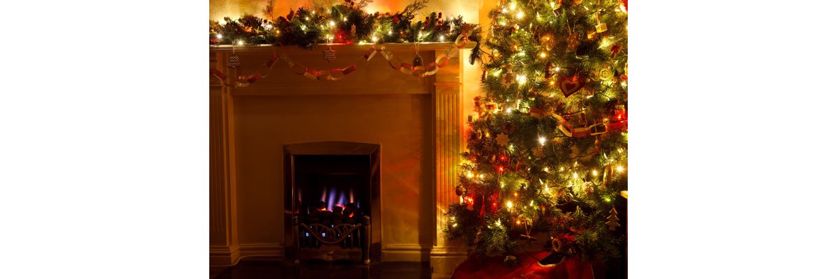 Oh Tannenbaum: Alles rund um den Weihnachtsbaum! - Tipps rund um den Tannenbaum zur Weihnachtszeit | Blog