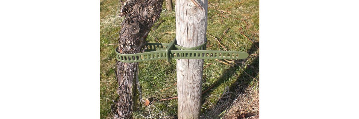 Elastische Kabelbinder aus Polyurethan - Kabelbinder aus Polyurethan sind elastisch und flexibel
