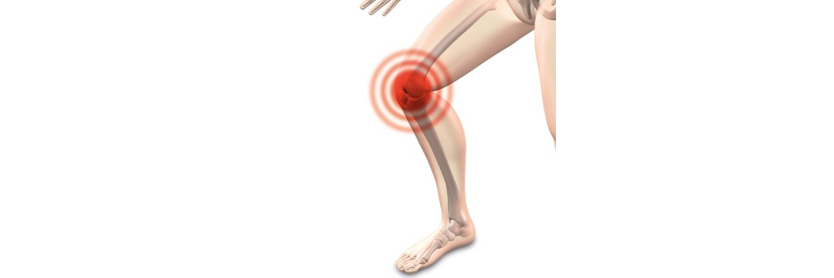 Schmerzfreies Arbeiten dank Knieschoner - So schützen Sie Ihre Knie beim Arbeiten | Blog Arbeitsbedarf24
