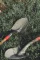 CAT Schaufel J-Serie: D-Griff, rundes Blatt