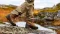 HAIX Damen Jagdstiefel NATURE One GTX Ws 206317
