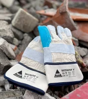 Hase Lederhandschuhe "Wismar V"