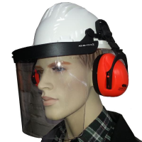 Construction helmet with face and hearing protection in...