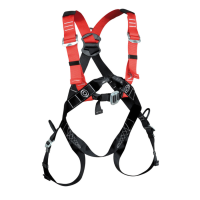 Professional 2 point harness