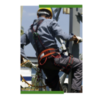 Professional safety harness