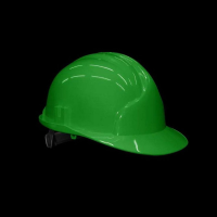 Construction helmet with face protection net