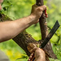 Full-Tang Machete mit Sägezähnen auf Rückseite | 25,5 cm Klinge