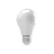 led leuchtmittel a60 e27
