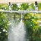 Sprühnebel-Set Claber Kit Happy Fresh Evolution 12 m mit Bewässerungscomputer