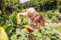 Gardena combisystem-Schuffel GARDEX