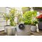 Gardena Solar-Bewässerung AquaBloom Set