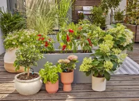Gardena Tropfbewässerung Set Terrasse (30 Pflanzen)