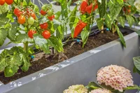 Gardena Tropfbewässerung Set Terrasse (30 Pflanzen)