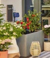 Gardena Tropfbewässerung Set Terrasse (30 Pflanzen)