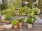 Gardena Tropfbewässerung Set Terrasse (30 Pflanzen)