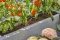 Gardena Tropfbewässerung Set Terrasse (30 Pflanzen)