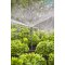 Gardena Tropfbewässerung Set Gemüse-/Blumenbeet (60 m²)