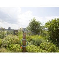 Gardena city gardening Terrassen-Spiralschlauch 75 m
