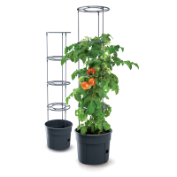 Prosperplast Tomatenpflanztopf mit Rankhilfe Tomato Grower
