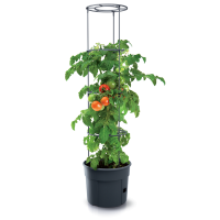 Prosperplast Tomatenpflanztopf mit Rankhilfe Tomato Grower Anthrazit 29,5 cm