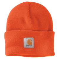 Carhartt Mütze watch hat