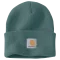 Carhartt Mütze watch hat