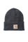 Carhartt Mütze watch hat